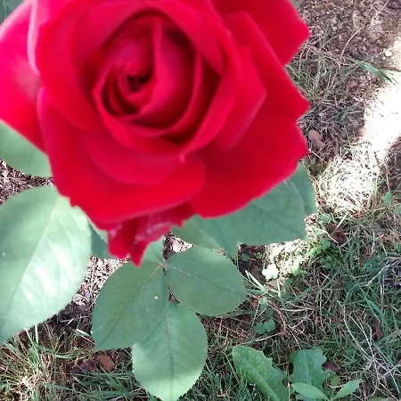 Charmante Maison Paysanne Renovee Avec Grand Terrain, Proche De La Riviere Et Du Village Medieval - Fr-1-410-162 *