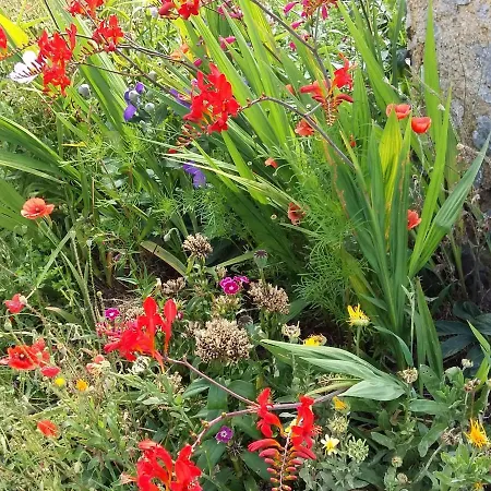 Charmante Maison Paysanne Renovee Avec Grand Terrain, Proche De La Riviere Et Du Village Medieval - Fr-1-410-162 بيت للعطل Asnieres-sur-Vegre