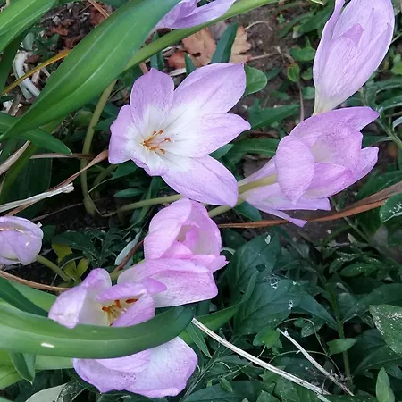 Charmante Maison Paysanne Renovee Avec Grand Terrain, Proche De La Riviere Et Du Village Medieval - Fr-1-410-162 펜션 Asnieres-sur-Vegre