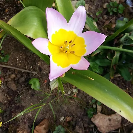 Charmante Maison Paysanne Renovee Avec Grand Terrain, Proche De La Riviere Et Du Village Medieval - Fr-1-410-162 بيت للعطل