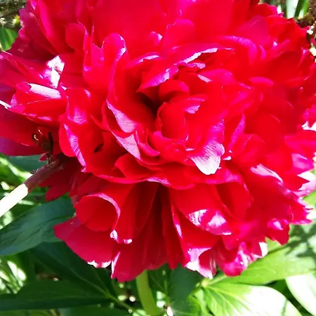 Charmante Maison Paysanne Renovee Avec Grand Terrain, Proche De La Riviere Et Du Village Medieval - Fr-1-410-162 *