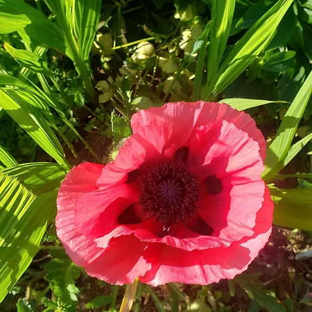 Charmante Maison Paysanne Renovee Avec Grand Terrain, Proche De La Riviere Et Du Village Medieval - Fr-1-410-162 Asnieres-sur-Vegre