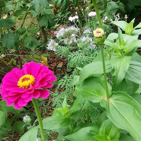 بيت للعطل Charmante Maison Paysanne Renovee Avec Grand Terrain, Proche De La Riviere Et Du Village Medieval - Fr-1-410-162