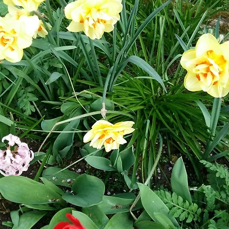 Charmante Maison Paysanne Renovee Avec Grand Terrain, Proche De La Riviere Et Du Village Medieval - Fr-1-410-162 *