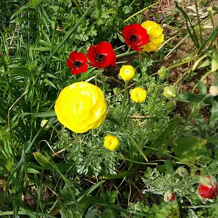 Charmante Maison Paysanne Renovee Avec Grand Terrain, Proche De La Riviere Et Du Village Medieval - Fr-1-410-162