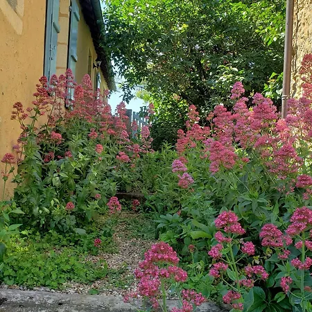 Charmante Maison Paysanne Renovee Avec Grand Terrain, Proche De La Riviere Et Du Village Medieval - Fr-1-410-162 Holiday home *