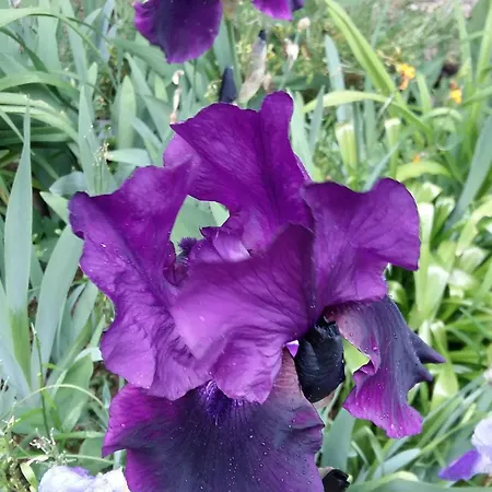 Charmante Maison Paysanne Renovee Avec Grand Terrain, Proche De La Riviere Et Du Village Medieval - Fr-1-410-162