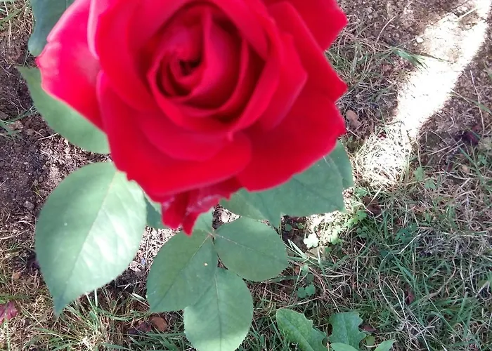 Charmante Maison Paysanne Renovee Avec Grand Terrain, Proche De La Riviere Et Du Village Medieval - Fr-1-410-162 *