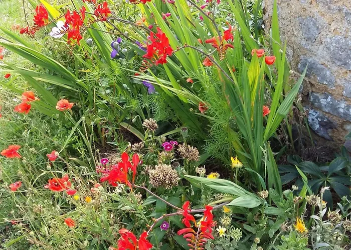 Charmante Maison Paysanne Renovee Avec Grand Terrain, Proche De La Riviere Et Du Village Medieval - Fr-1-410-162 Nyaraló Asnières-sur-Vègre