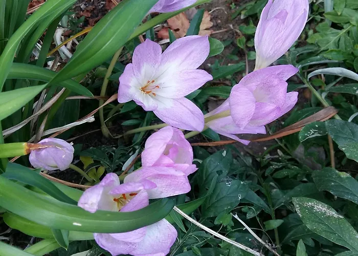 Charmante Maison Paysanne Renovee Avec Grand Terrain, Proche De La Riviere Et Du Village Medieval - Fr-1-410-162 Nyaraló Asnières-sur-Vègre