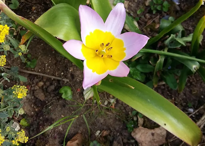 Charmante Maison Paysanne Renovee Avec Grand Terrain, Proche De La Riviere Et Du Village Medieval - Fr-1-410-162 Nyaraló