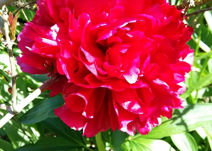 Charmante Maison Paysanne Renovee Avec Grand Terrain, Proche De La Riviere Et Du Village Medieval - Fr-1-410-162 *