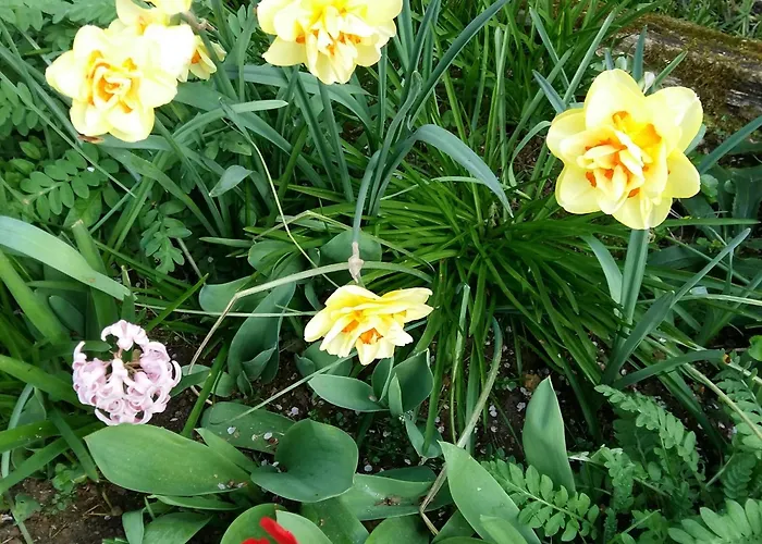 Charmante Maison Paysanne Renovee Avec Grand Terrain, Proche De La Riviere Et Du Village Medieval - Fr-1-410-162 *