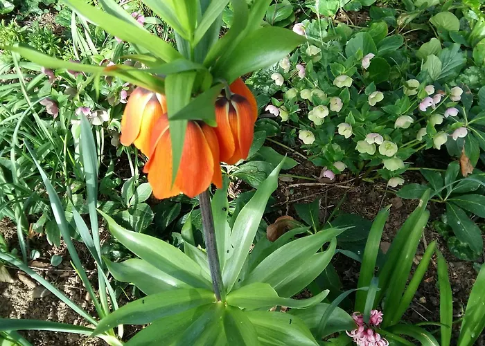 Charmante Maison Paysanne Renovee Avec Grand Terrain, Proche De La Riviere Et Du Village Medieval - Fr-1-410-162 Nyaraló *