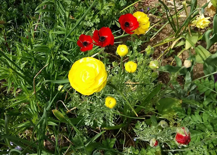 Charmante Maison Paysanne Renovee Avec Grand Terrain, Proche De La Riviere Et Du Village Medieval - Fr-1-410-162