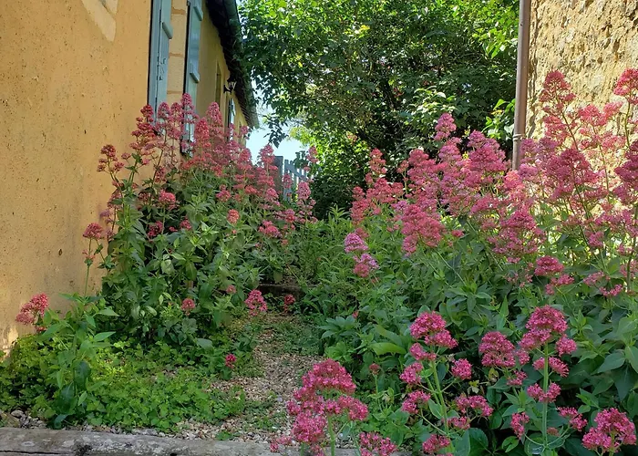 Charmante Maison Paysanne Renovee Avec Grand Terrain, Proche De La Riviere Et Du Village Medieval - Fr-1-410-162 Nyaraló *